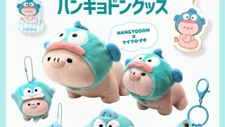 ハンギョドン11個セット ⭕️値下げしました！ 250917_mof-320x180.webp